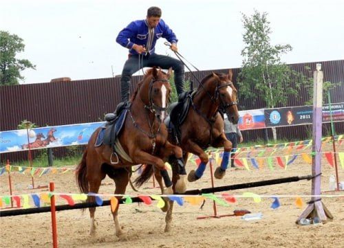 Чемпионат России по конному спорту (джигитовка)
