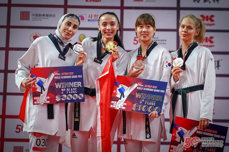 Taekwondo Grand prix